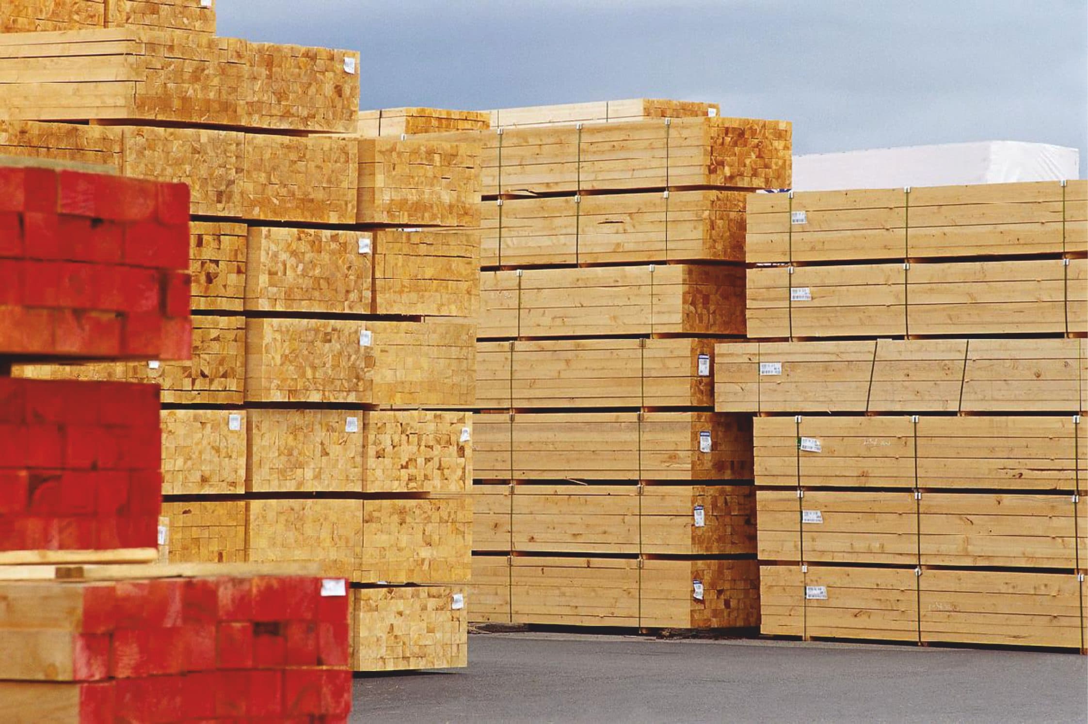 Softwood veneer_ coniferous plywood_ sawnwood